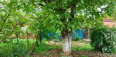 Дом, 1 этаж, 48 м2, 8 сот.