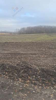 Земельный участок, 88 сот.