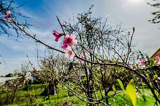 Земельный участок, 7 сот.