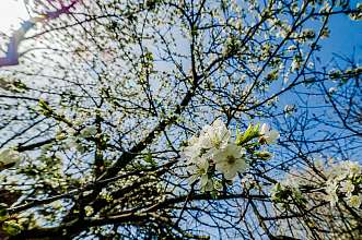 Земельный участок, 7 сот.