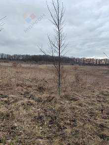 Земельный участок, 822 сот.