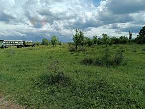 Земельный участок, 26 сот.