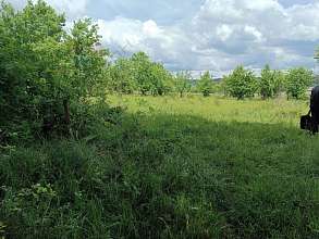 Земельный участок, 26 сот.