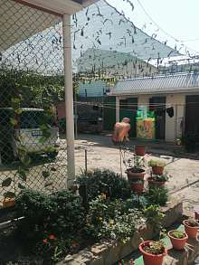 Дом, 2 этажа, 338 м2, 8 сот.