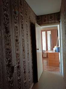 2-комнатная, 53.4 м2