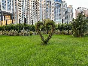 2-комнатная, 67.2 м2