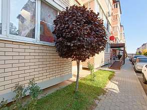 1-комнатная, 29.9 м2