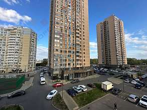 Студия, 23.9 м2