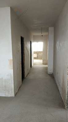 5-комнатная, 226.6 м2