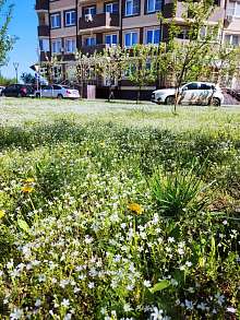 1-комнатная, 35.7 м2