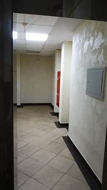 5-комнатная, 226.6 м2