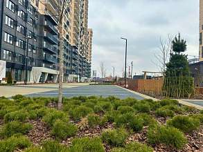 Студия, 22.8 м2