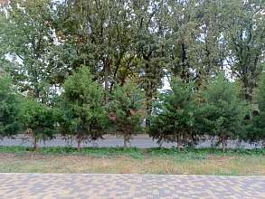 2-комнатная, 48 м2