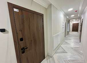 Студия, 24.08 м2