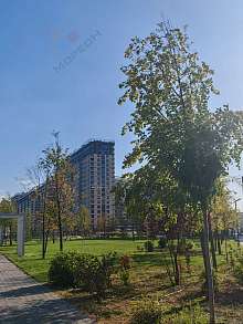 2-комнатная, 53.5 м2