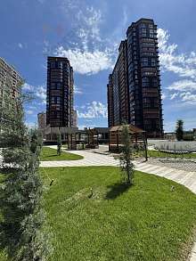 1-комнатная, 43.6 м2